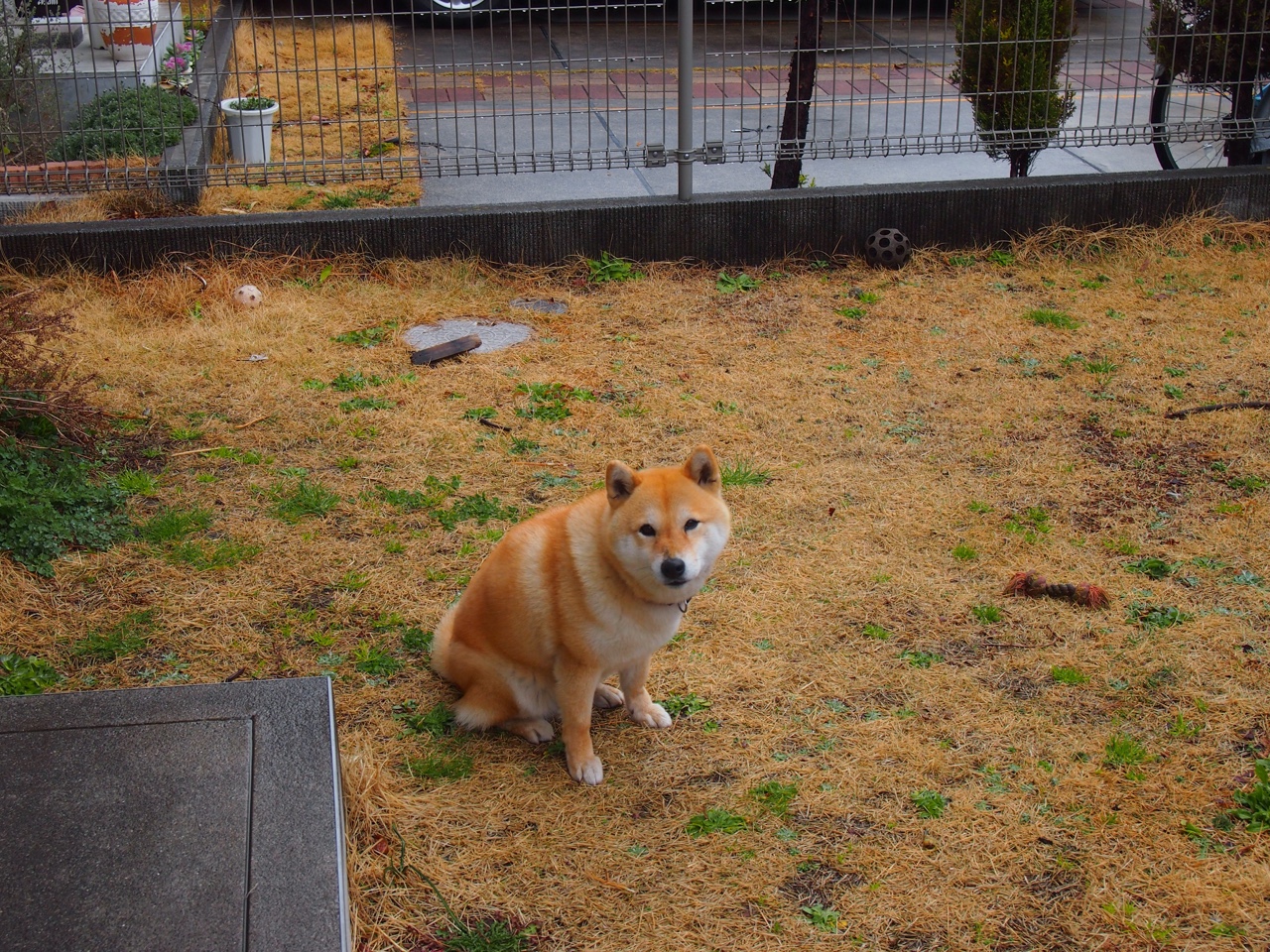 卢卡库关键时刻站出来,芬兰冲垮瑞士—欧洲杯赛场上的冰与火之歌