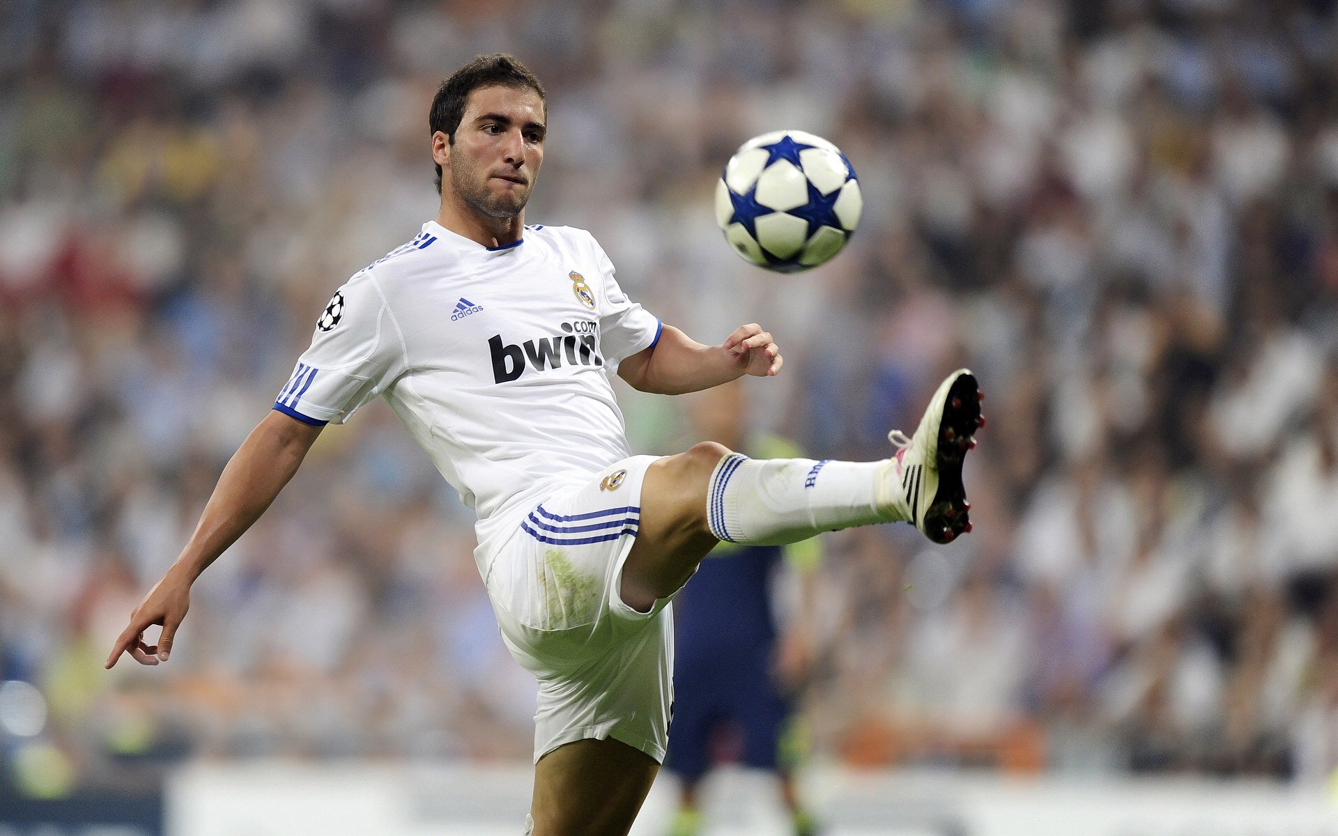 格纳布里冠军级表现闪耀，苏格兰虽败犹荣，新西兰险中求胜