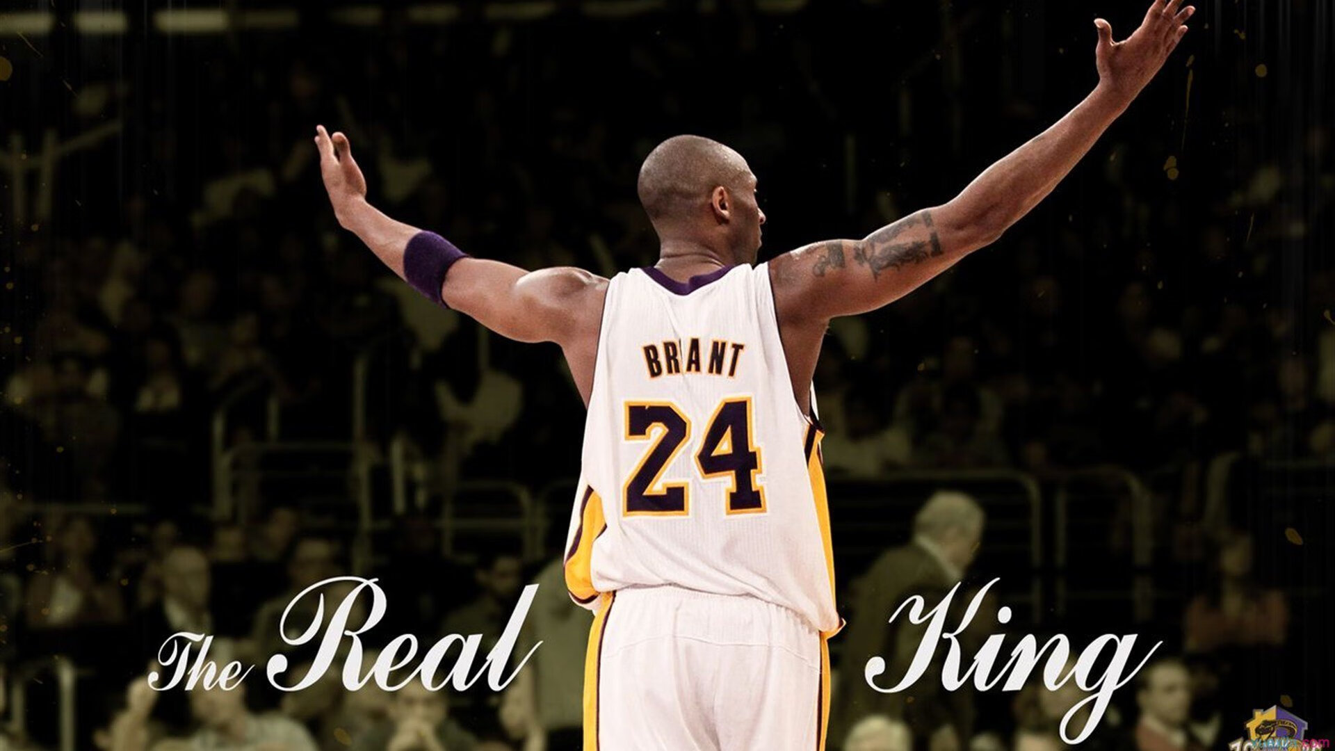 独行侠的孤星与森林狼的狼群,西亚卡姆如何以高光表现定义比赛